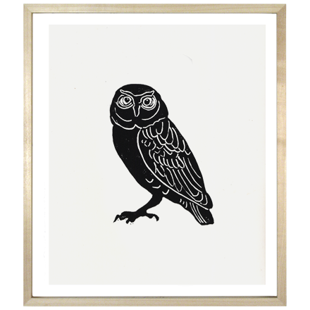 Owl 1