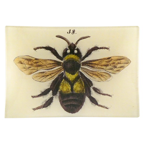 Bee 38