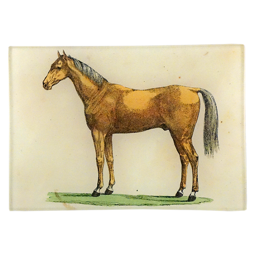 Golden Horse