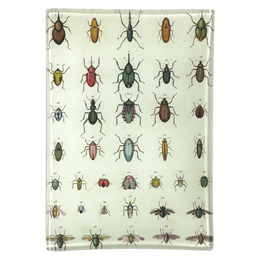 Torn Insects