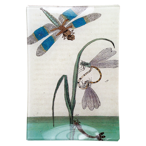 Dragonfly Over Water