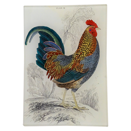 Gallus Sonnerati