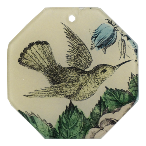 Sepia Hummingbird