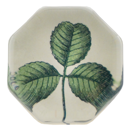 Clover