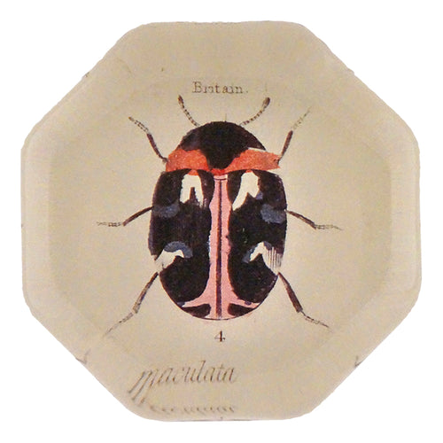 Dark Bug