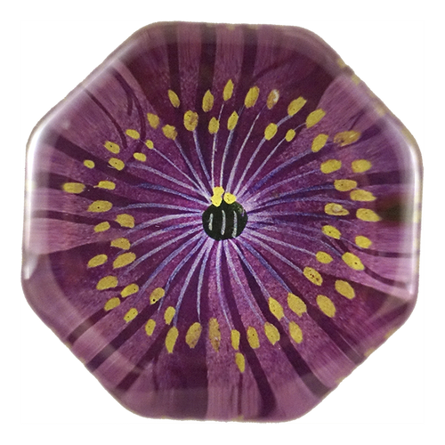 Jackmanii Clematis