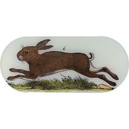 A Rabbit