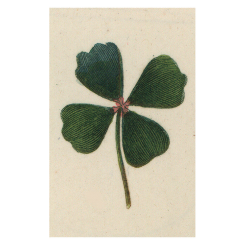 Clover