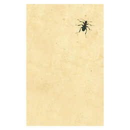 Dark Bug