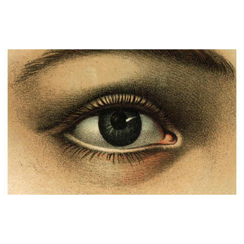Eye postcard includes a pack of ten 