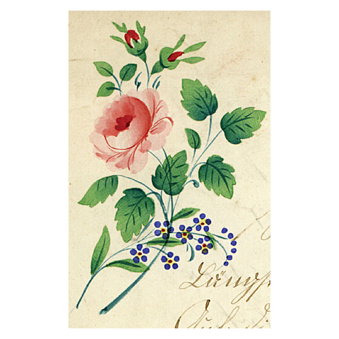 Rose Spray