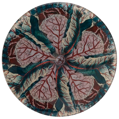 Cabbage Leaf