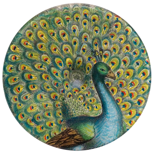 Peacock