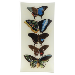 Five Winged