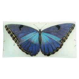 Blue Butterfly