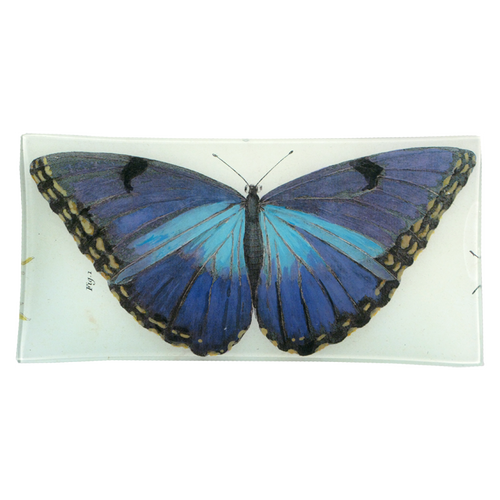 Blue Butterfly