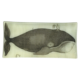 Spouting Whale