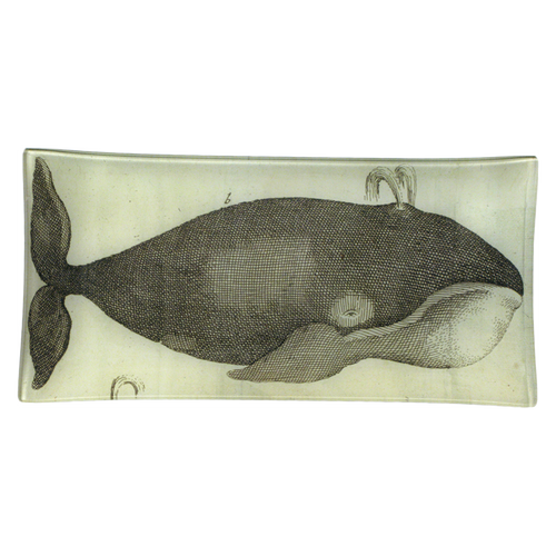 Spouting Whale