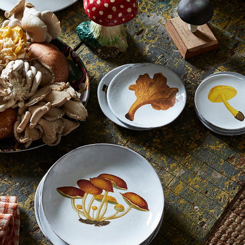 Chanterelle Comestible Plate