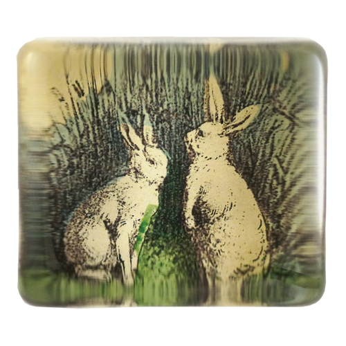 Two Rabbits