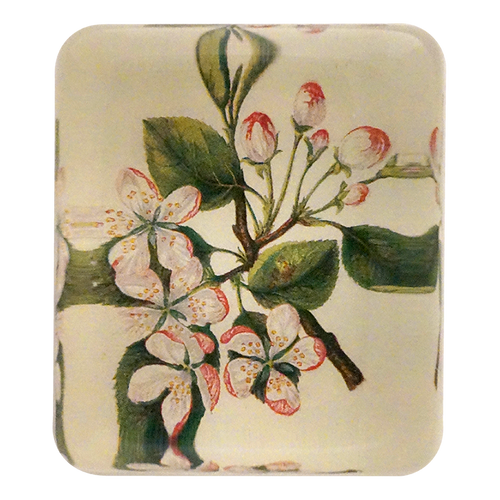 Crab Apple