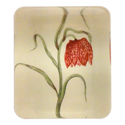 Fritillary