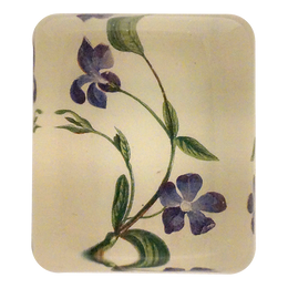 Periwinkle