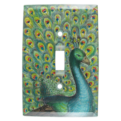 Coy Peacock
