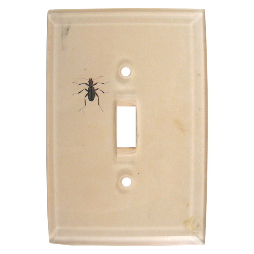 Dark Bug