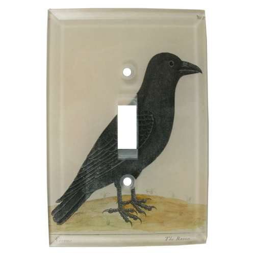 Raven