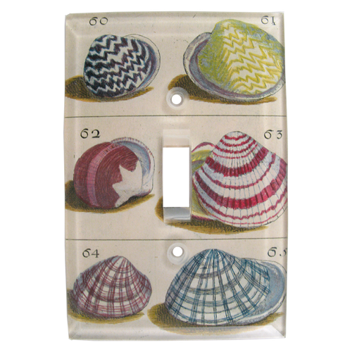 Shells