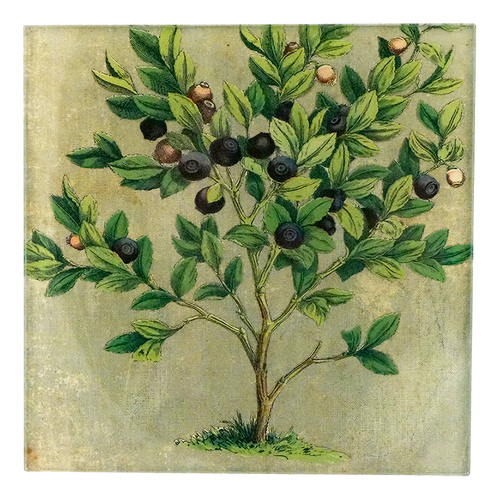 Blueberries