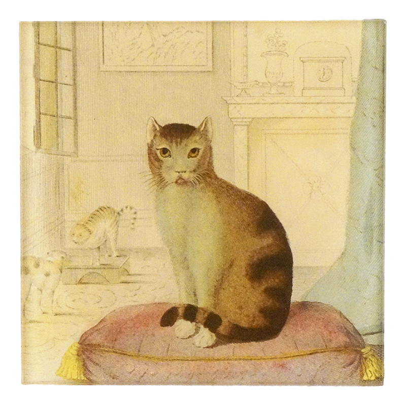 Calm Cat