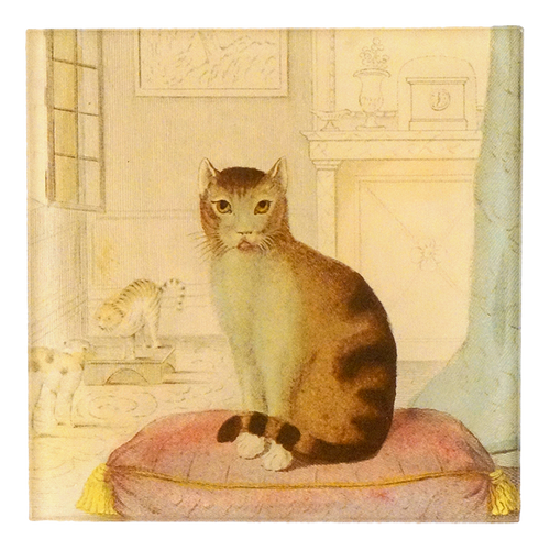 Calm Cat
