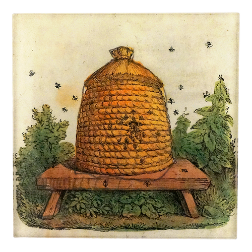 Hive