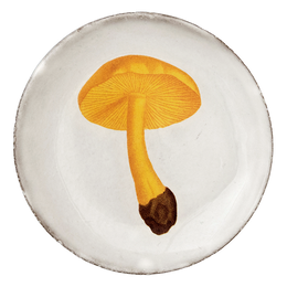 Agaric Couleur de Soufre Saucer