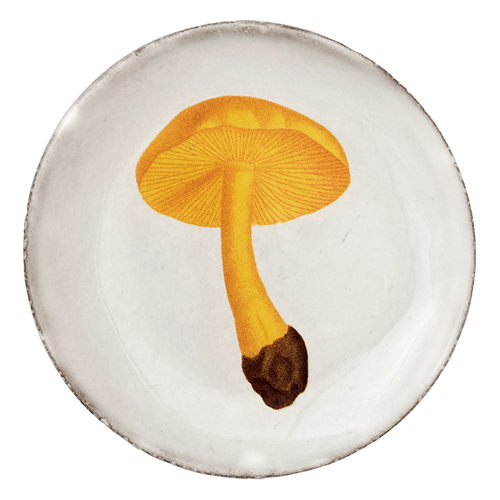 Agaric Couleur de Soufre Saucer