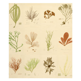 Sea Plants Original Grasscloth