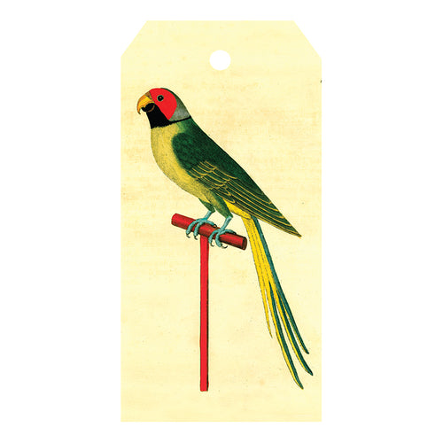 Paroquet from Bengal