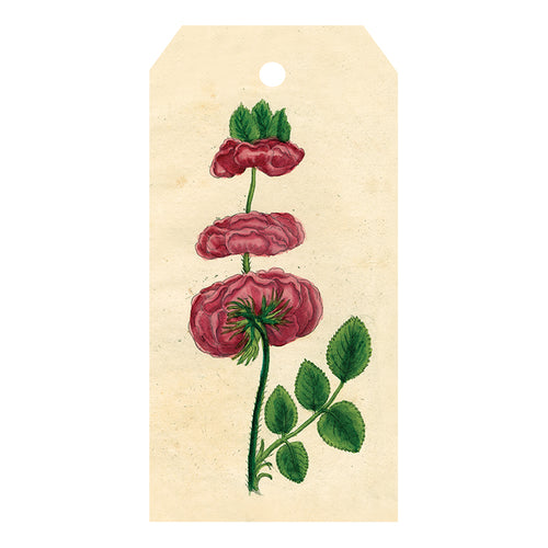 Triple Rose