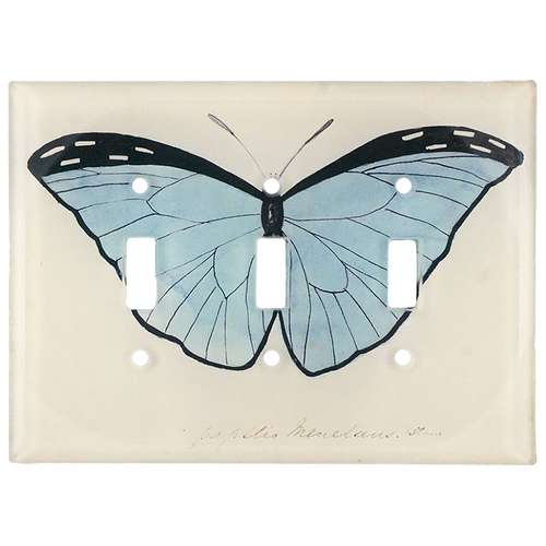 Pale Blue Butterfly