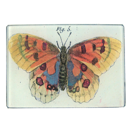 Orange Butterfly