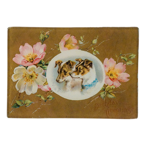 Two puppies in the center a light brown vintage style birthday card with pink and white flowers. 