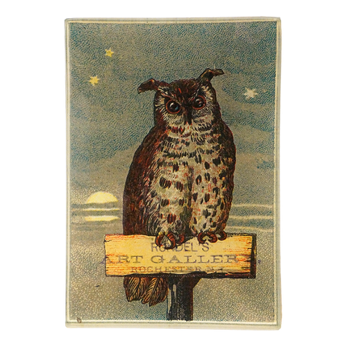 An illustration of an owl sitting on a branch with a moon and stars in the background, holding a sign that reads 'ART GALLERY'. This is on a three and a half inch by five inch glass tray. 