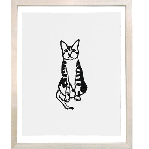 Tabby Cat