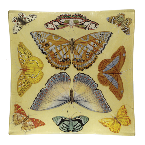 Butterfly Collection