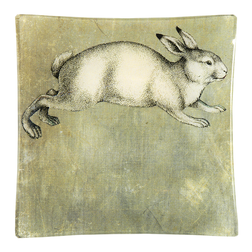 White Rabbit