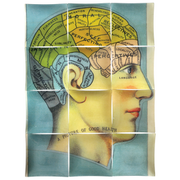 In Good Health (Phrenology Head)