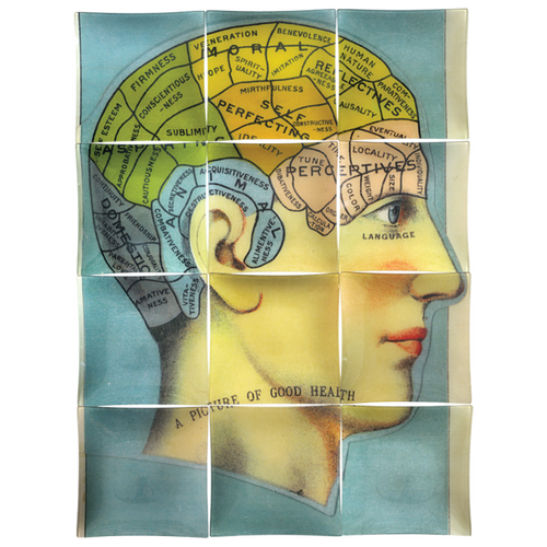 In Good Health (Phrenology Head)