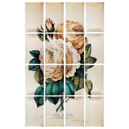 Rose (16 Pieces)